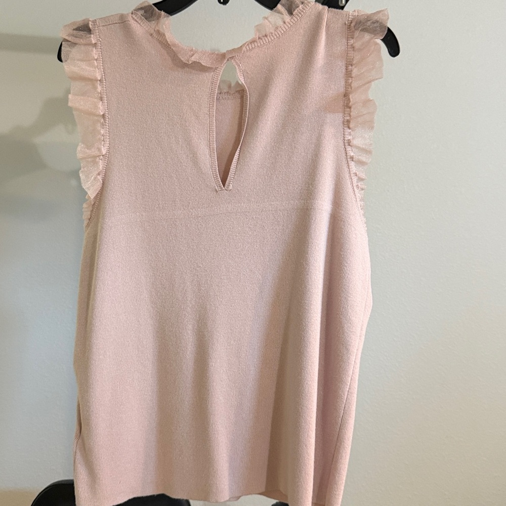 Express Blush Ruffle Sleeve Top - Picture 2 of 2